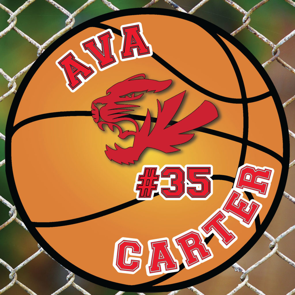 Christoval Basketball Yard Sign School Spirit Place christoval-basketball-yard-sign-school-spirit-place