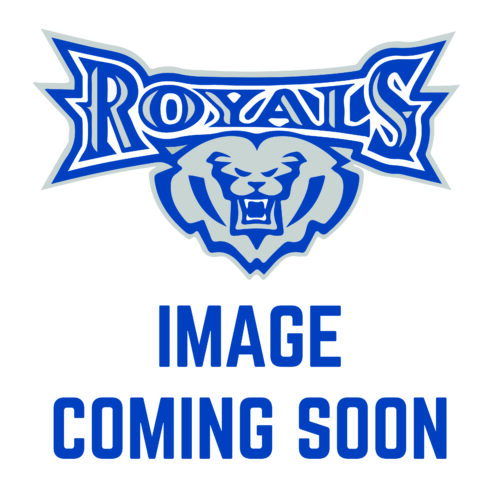 HSE Girls Lacrosse Senior Banner