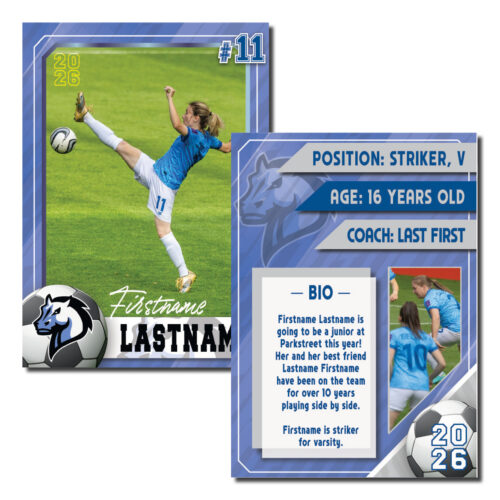 Soccer Cards - Classic Design